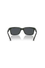 Rayban 4393m F68087 56 Kadın